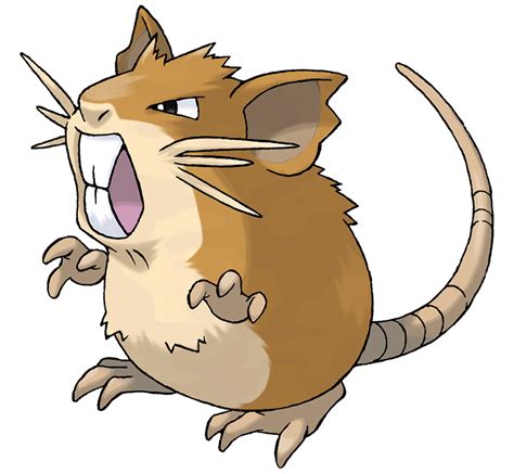 pokemons ratos|Rattata